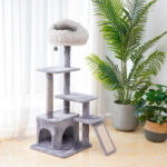 cat supplies