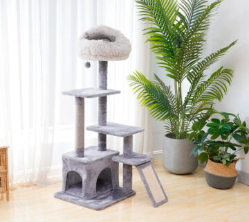 cat supplies