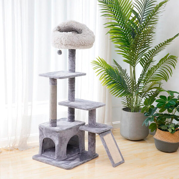 cat supplies