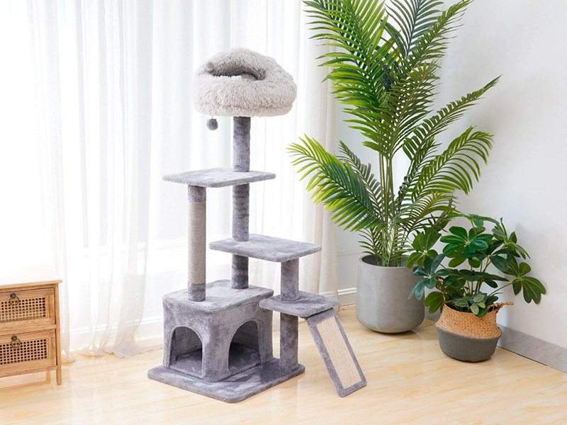 cat supplies