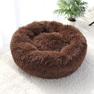 cat bed