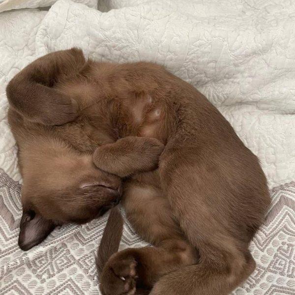 PHOTO 2022 09 07 16 52 16 2