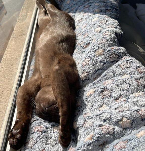 PHOTO 2022 09 07 16 53 35 4