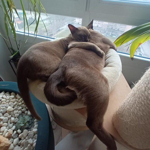 PHOTO 2022 09 07 17 02 29 3