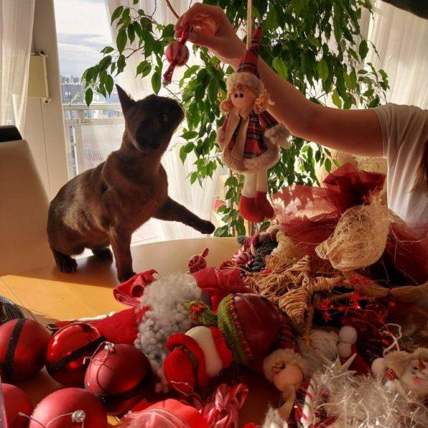 PHOTO 2022 09 07 17 06 08 2