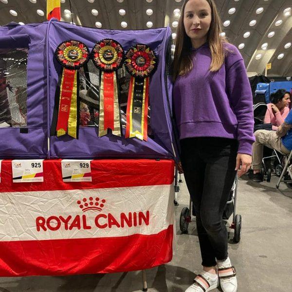 Royal Esprit burmese cats