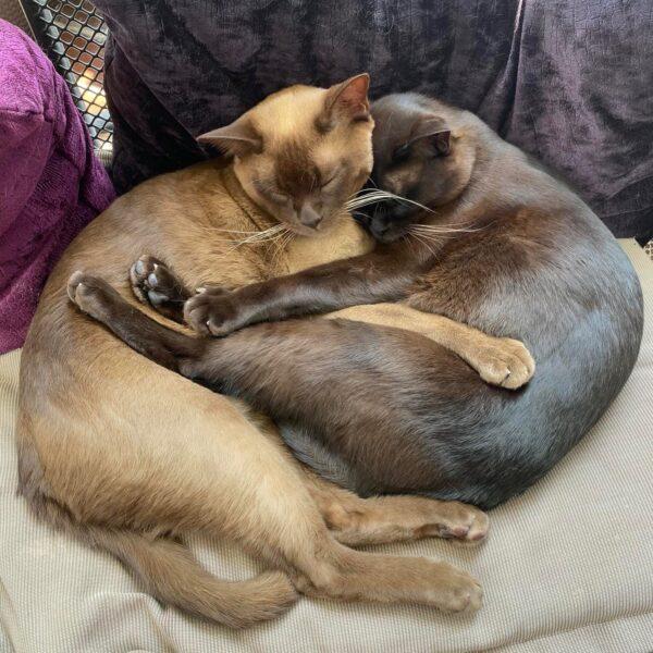 WhatsApp Image 2023 05 28 at 18 38 18