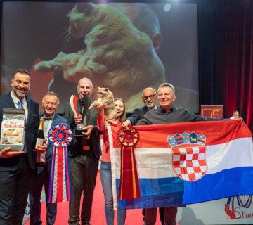 World Cat Show