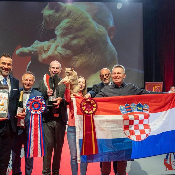 World Cat Show