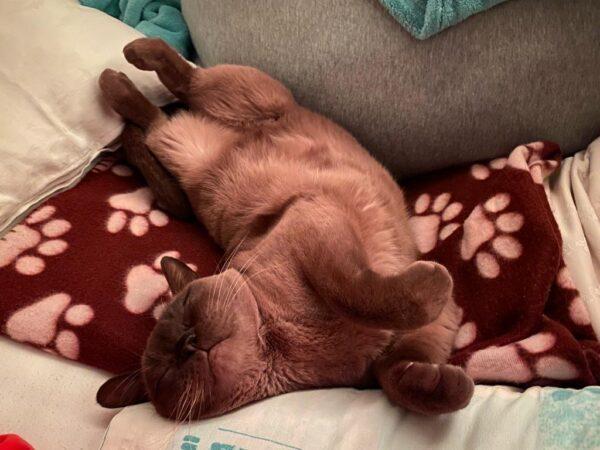 PHOTO-2024-01-13-22-44-38 PHOTO 2024 01 13 22 44 38