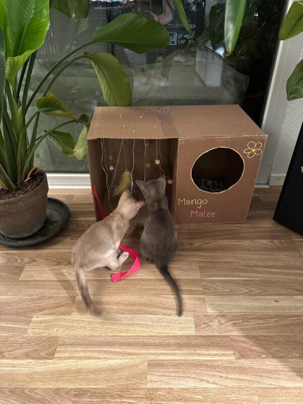 PHOTO-2024-02-25-19-39-34 2 PHOTO 2024 02 25 19 39 34 2