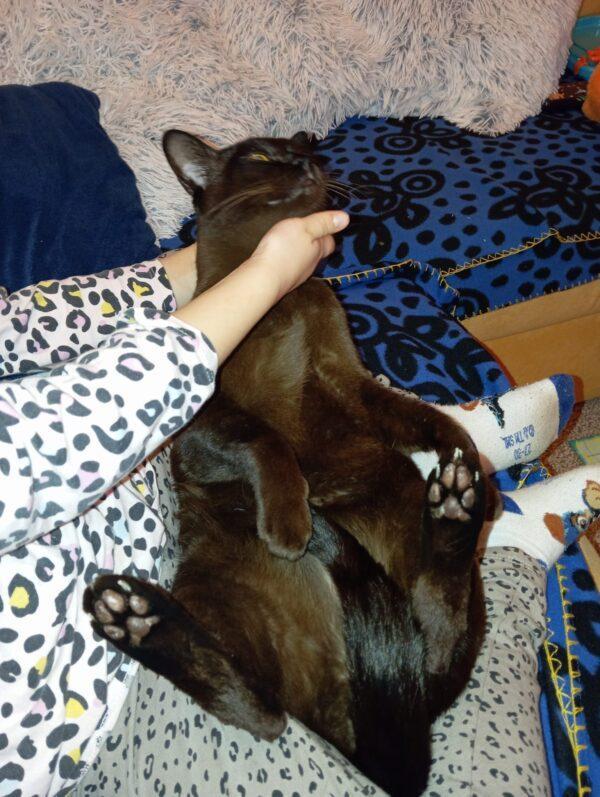 PHOTO-2024-02-29-20-19-49 PHOTO 2024 02 29 20 19 49