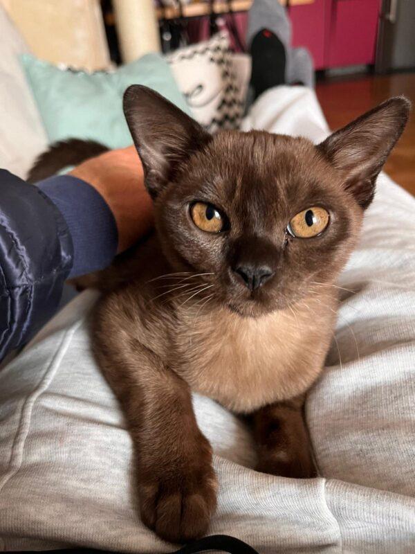 PHOTO-2024-03-09-13-32-28 PHOTO 2024 03 09 13 32 28