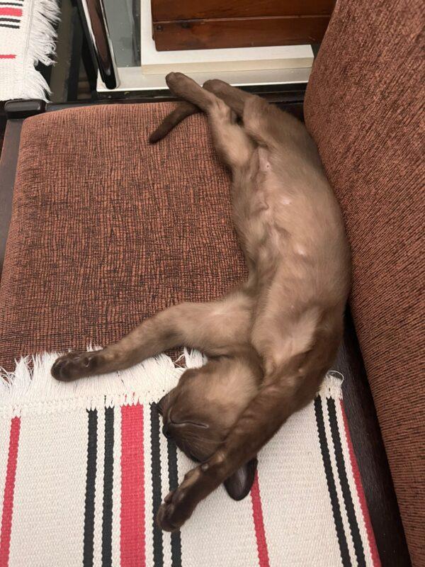 PHOTO-2024-03-15-09-20-02 PHOTO 2024 03 15 09 20 02