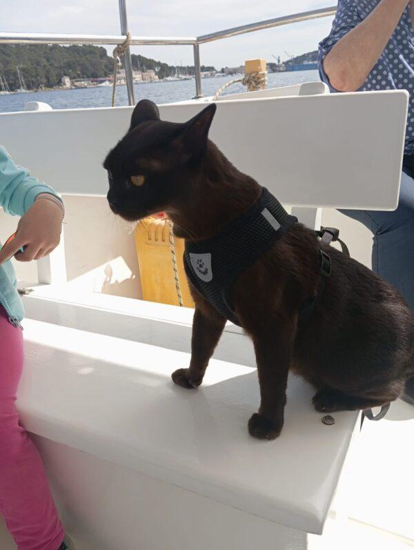 PHOTO-2024-04-14-10-49-09 PHOTO 2024 04 14 10 49 09