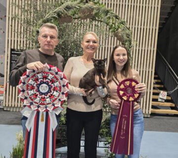 465536008 10227331294843189 4585004437344327949 n 2 360x320