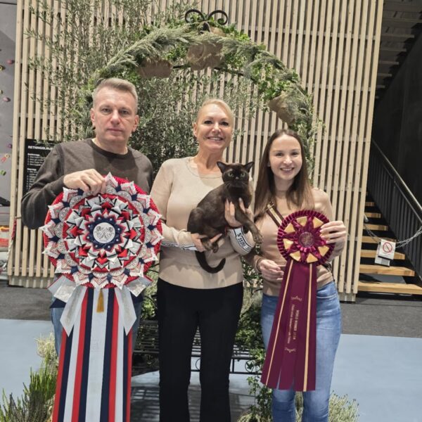 465536008 10227331294843189 4585004437344327949 n 2