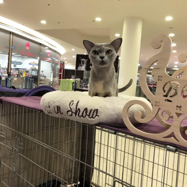 470183992 10228031062576945 7305143170691741450 n