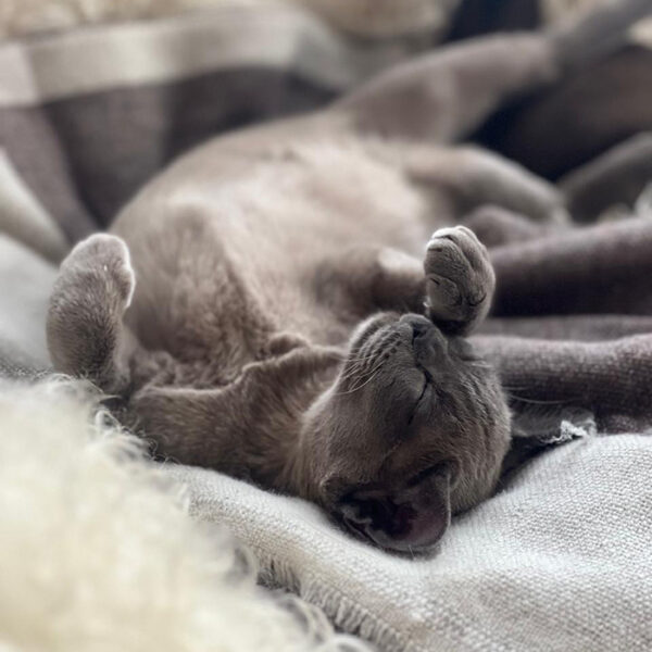 2156d3f9 1a2c 4238 9511 210255c5895b