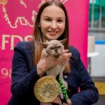 Royal Esprit Burmese cats