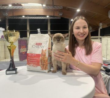 Royal Esprit Burmese cattery