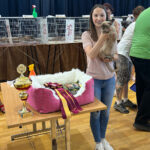 Vinicne Cat Show   Royal Esprit Burmese